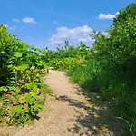 Дом отдыха De Platwever 3c