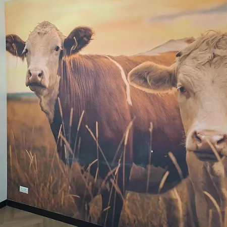 De Platwever 3c Сasa de vacaciones