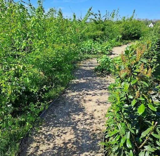 De Platwever 3c Зелхем