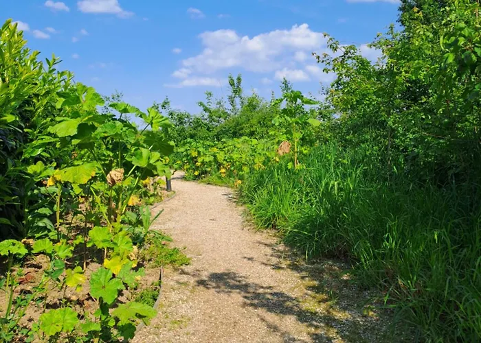 Сasa de vacaciones De Platwever 3c