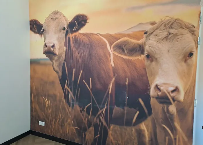 De Platwever 3c Сasa de vacaciones